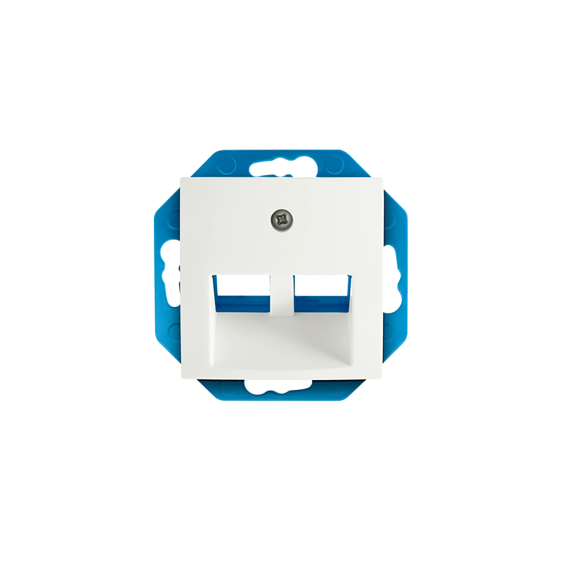 ION INDUSTRIES | MODULAR JACK 30°| 2-VOUDIG MET CENTRAALPLAAT | E1 | MAT ALPIN WIT