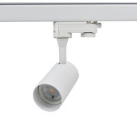 Weiße Schienenstrahler ohne Lichtquelle