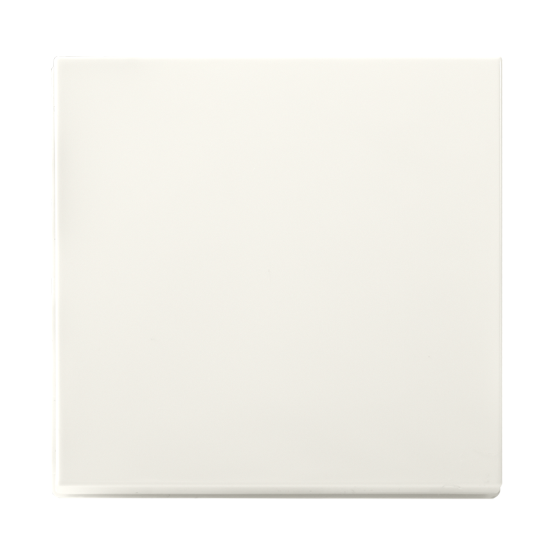 ION INDUSTRIES | TASTDIMMERKNOP | V1/J1 | ALPIN WIT