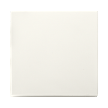 ION INDUSTRIES | TASTDIMMERKNOP | V1/J1 | ALPIN WIT