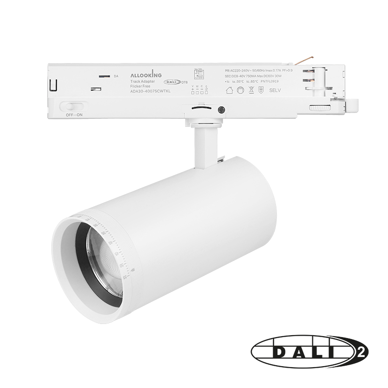 809034 - DALI 3-FASE RAILSPOT - CCT Switch - Wit