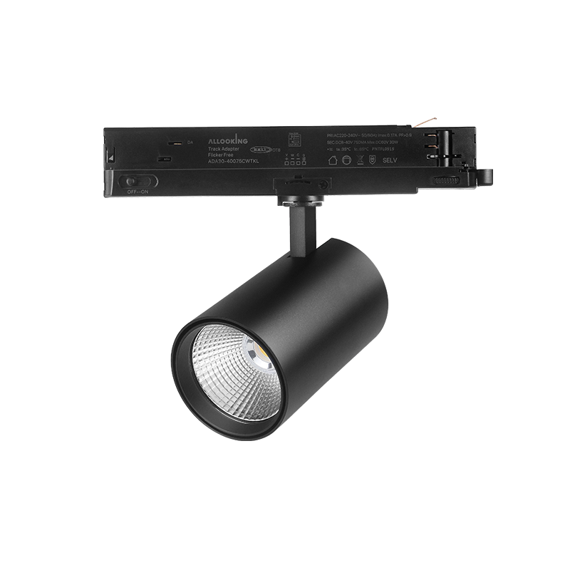 DALI 3-PHASE TRACK SPOT | ROSALIN | 10W-20W-30W | BLACK | DIMMABLE | CCT