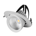 LED DOWNLIGHT | KANTELBAAR | Ø195 | 40W