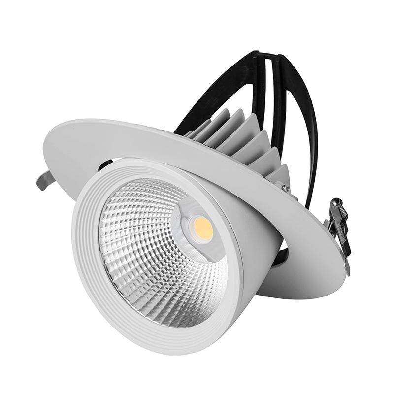 LED DOWNLIGHT | KANTELBAAR | Ø195 | 40W