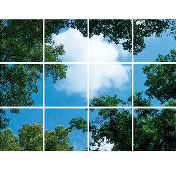FOTOPRINT AFBEELDING WOLK-BOS | VERDEELD OVER 12 PANELEN | 595 X 595 MM