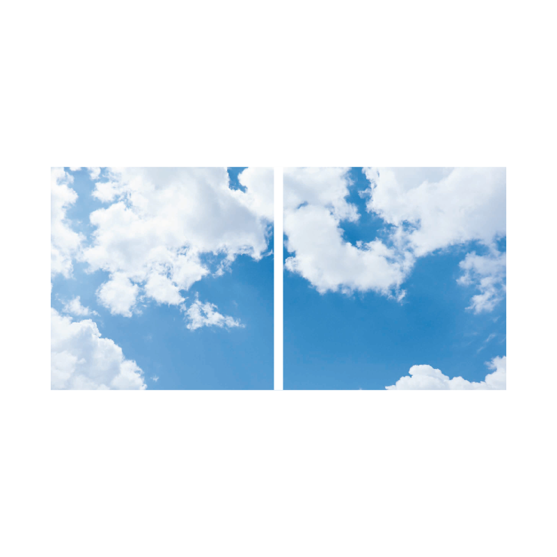 FOTOPRINT AFBEELDING WOLK | VERDEELD OVER 2 PANELEN | 595 X 595MM