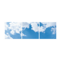 FOTOPRINT AFBEELDING WOLK | VERDEELD OVER 3 PANELEN | 595 X 595 MM
