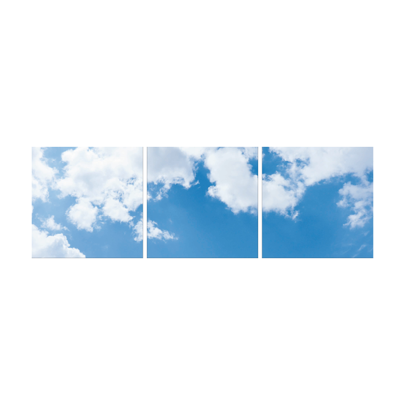 FOTOPRINT AFBEELDING WOLK | VERDEELD OVER 3 PANELEN | 595 X 595 MM