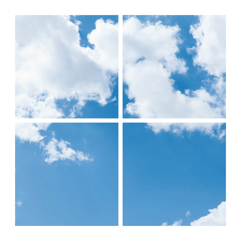 FOTOPRINT AFBEELDING WOLK | VERDEELD OVER 4 PANELEN | 595 X 595 MM