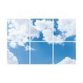 FOTOPRINT AFBEELDING WOLK | VERDEELD OVER 6 PANELEN | 595 X 595 MM