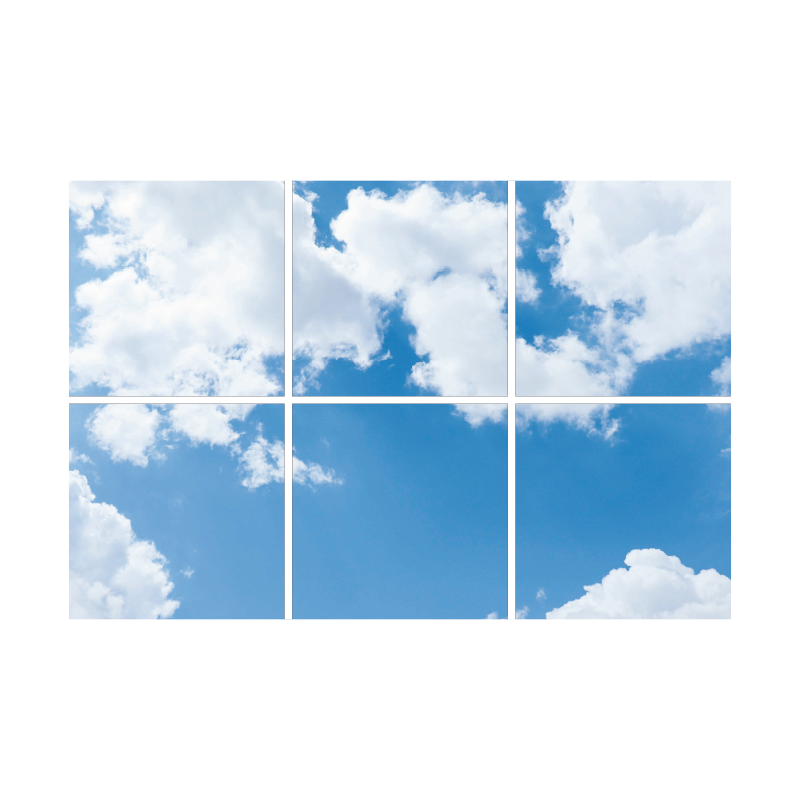 FOTOPRINT AFBEELDING WOLK | VERDEELD OVER 6 PANELEN | 595 X 595 MM