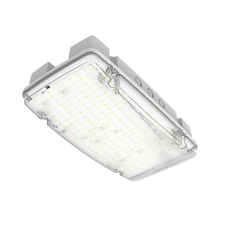 EMERGENCY LIGHTING | ARES | 1500LM | IP66